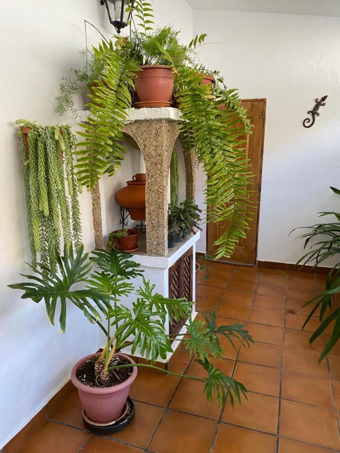 Villa Casa en Mogán Las Burrillas Exterior foto
